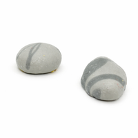 Pack de 20 trapantojo de roca relleno de foie